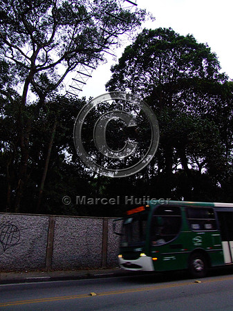 Note: image has relatively low resolution. Arboreal overpass for howler monkeys and sloths across a road bordering the zoo, Parque Zoologico de Sao Paulo, Av. Miguel Stéfano, São Paulo, Brazil