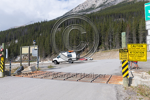 Electrified barrier to keep bears off the highway, exit Lake O'H