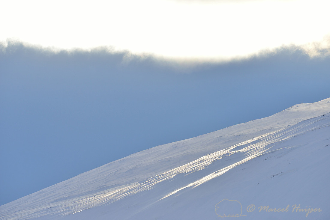 Sun peaking through clouds on snow field, Dovrefjell National Park, Norway