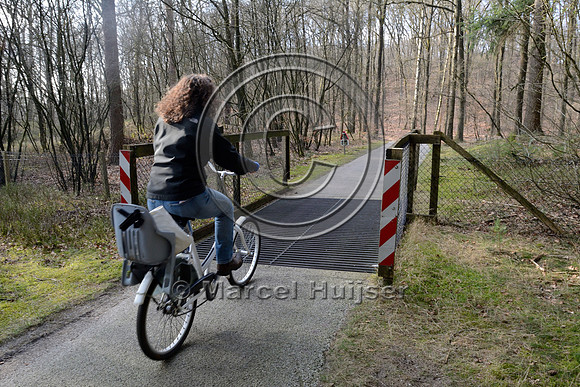 Bicyclist on wildlife guard for wild boar (Sus scrofa and moeflon (Ovis orientalis), National Park Hoge Veluwe, The Netherlands