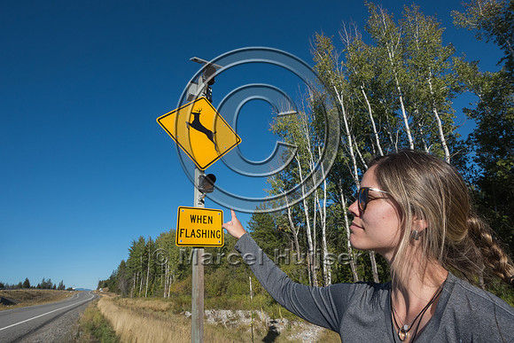 Fernanda Abra at animal detection system on frontage road next t