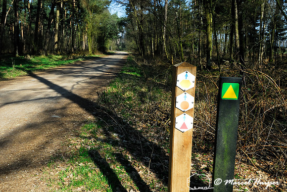 Bicycle route sign, Weerterbos, Maarheze, The Netherlands