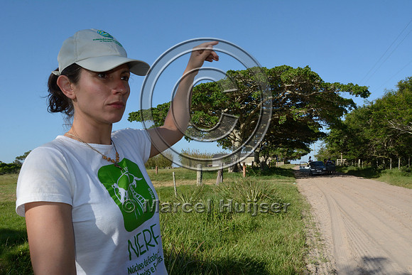 Paula Pinheiro (Núcleo de Ecologia de Rodovias e Ferrovias (NERF), Universidade Federal do Rio Grande do Sul), during field work near Mostardas, Rio Grande do Sul, Brazil