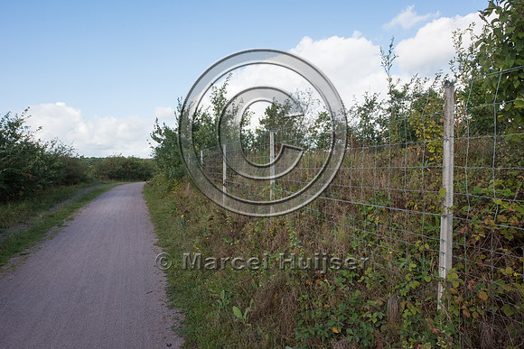 Trail for non-motorized recreation with a berm, trees and shrubs
