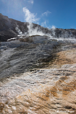 Mammoth Hot Springs, Yellowstone National Park, Wyoming, USA