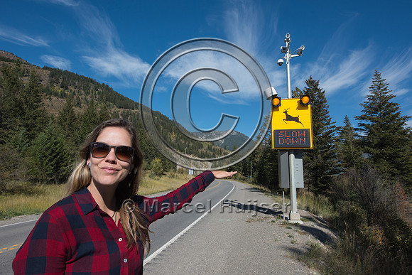 Fernanda Abra at animal detection system, east of Elko, British