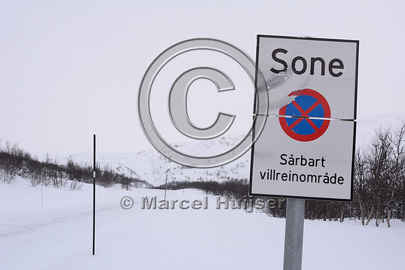 Sign, No stopping zone, Vulnerable wild reindeer (Rangifer tarandus tarandus) area, Hwy 27 at the edge of Rondane National Park, Norway