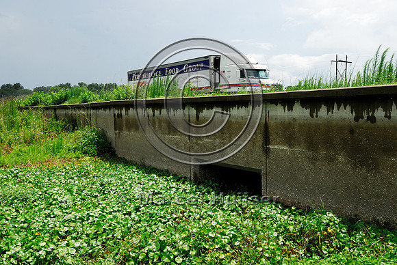Underpass and barrier wall for reptiles, amphibians and small mammals, U.S. 441, Paynes Prairie Ecopassage, south of Gainesville, FL