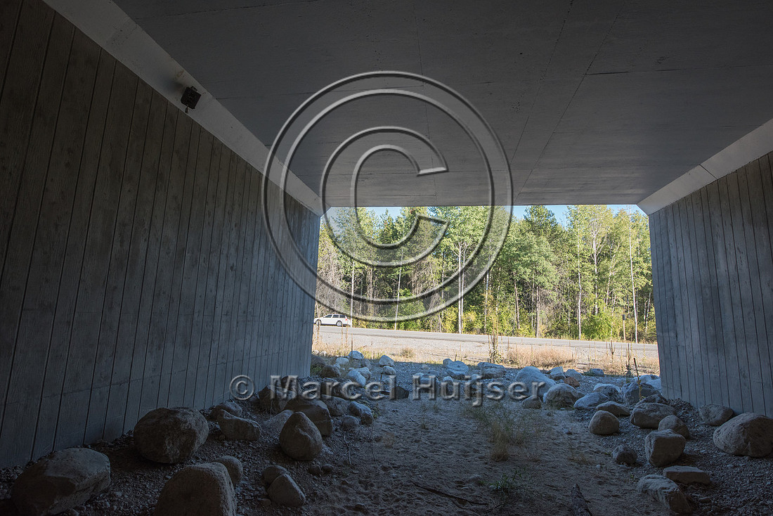 Boulders and rocks provide cover for small animals inside wildli