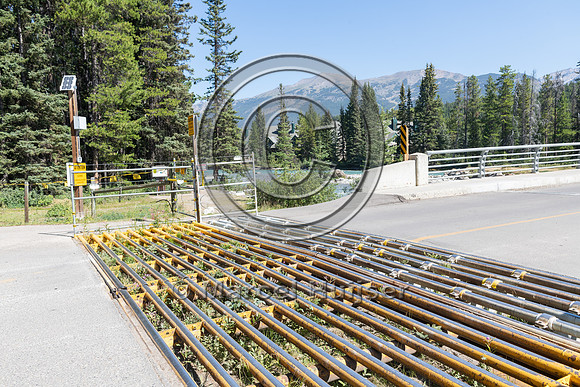 Electrified barrier to keep bears out of a campground, Lake Loui