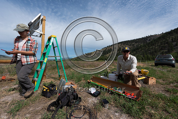 Installing electric fence and gates at a melon field to keep bla