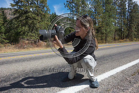 Fernanda Abra photographs a roadkilled western striped skunk (Me