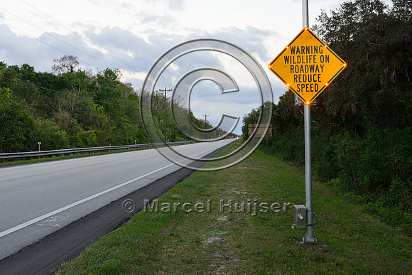 Activated warning sign animal detection system, Tamiami Trail, US Hwy 41, Florida, USA