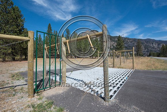 Wildlife guard (cattle guard) for  bighorn sheep (Ovis canadensi