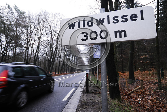 Animal detection system, The Netherlands