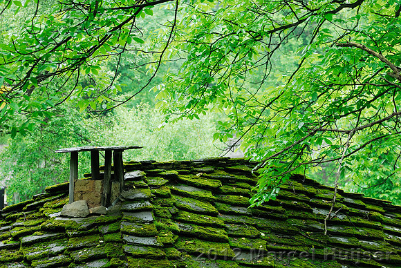 Stone roof and chimney with mosses, Bulgaria