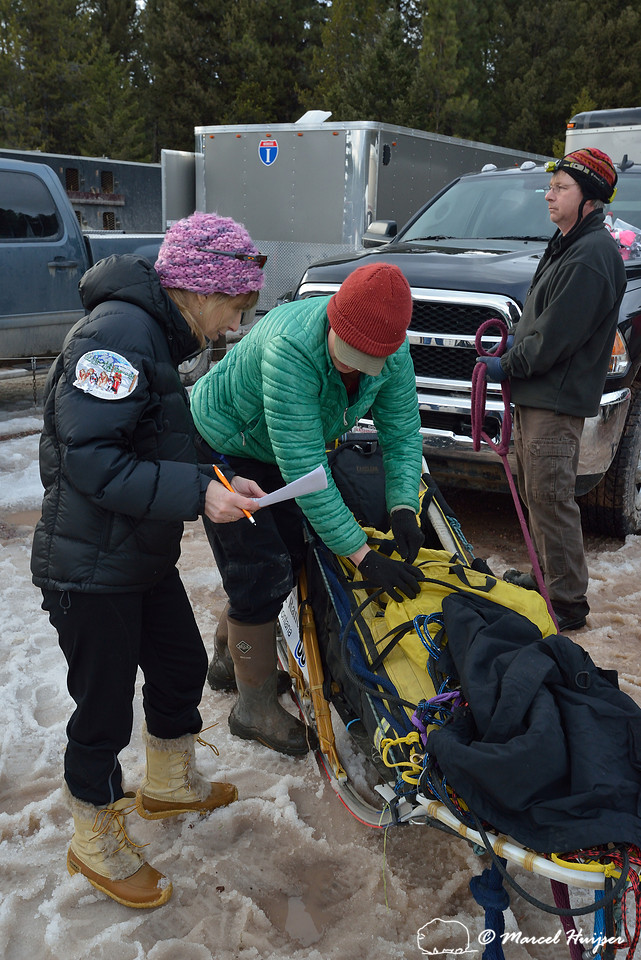 Race to the Sky, sled dog race, February 13-15 2015, Seeley Lake, Montana, USA