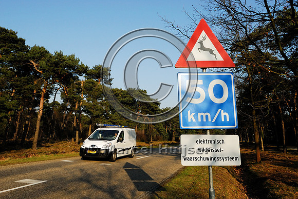 Warning sign animal detection system, deer warning sign 50 km/h  Electronic wildlife crossing warning system, Maarheze, The Netherlands