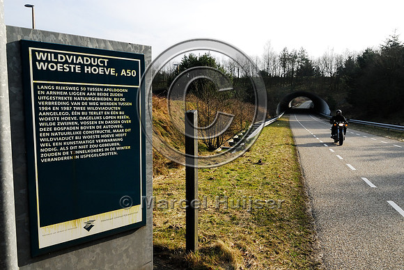 Ecoduct Woeste Hoeve A50 near Apeldoorn, The Netherlands