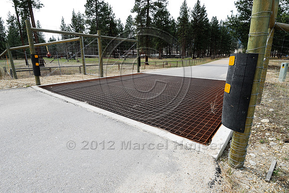 Rubber strips at a wildlife guard installed to make it more difficult for deer (Odocoileus spp.) to walk across the concrete ledge and access the highway, near Stevensville, Montana, USA