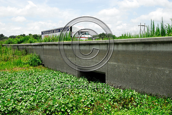 Underpass and barrier wall for reptiles, amphibians and small mammals, U.S. 441, Paynes Prairie Ecopassage, south of Gainesville, FL