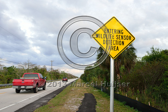 Animal detection system warning sign, Tamiami Trail, US Hwy 41, Florida, USA