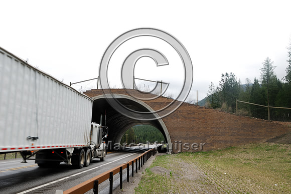 Wildlife overpass "animals' bridge", Flathead Indian Reservation, near Evaro, Montana, USA