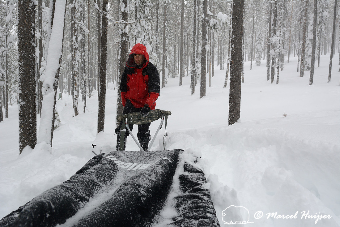 Marcel Huijser straps on harness to pull cargo sled on winter camping trip, Chief Joseph Pass, Montana, USA
