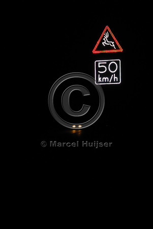 Animal detection system at night, Harderwijk, The Netherlands