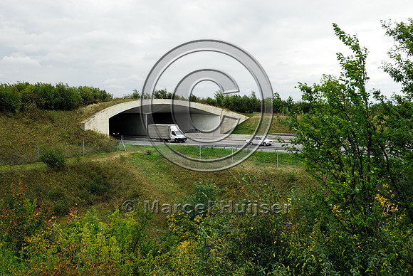 Multifunctional overpass (wildlife, bicyclists, pedestrians; about 100 m wide), across A4 motorway, Parndorf, Austria
