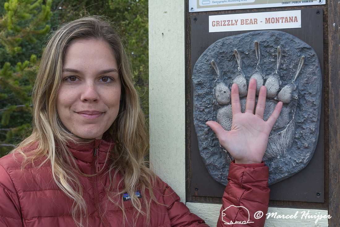 Fernanda Abra.  Wyoming, USA