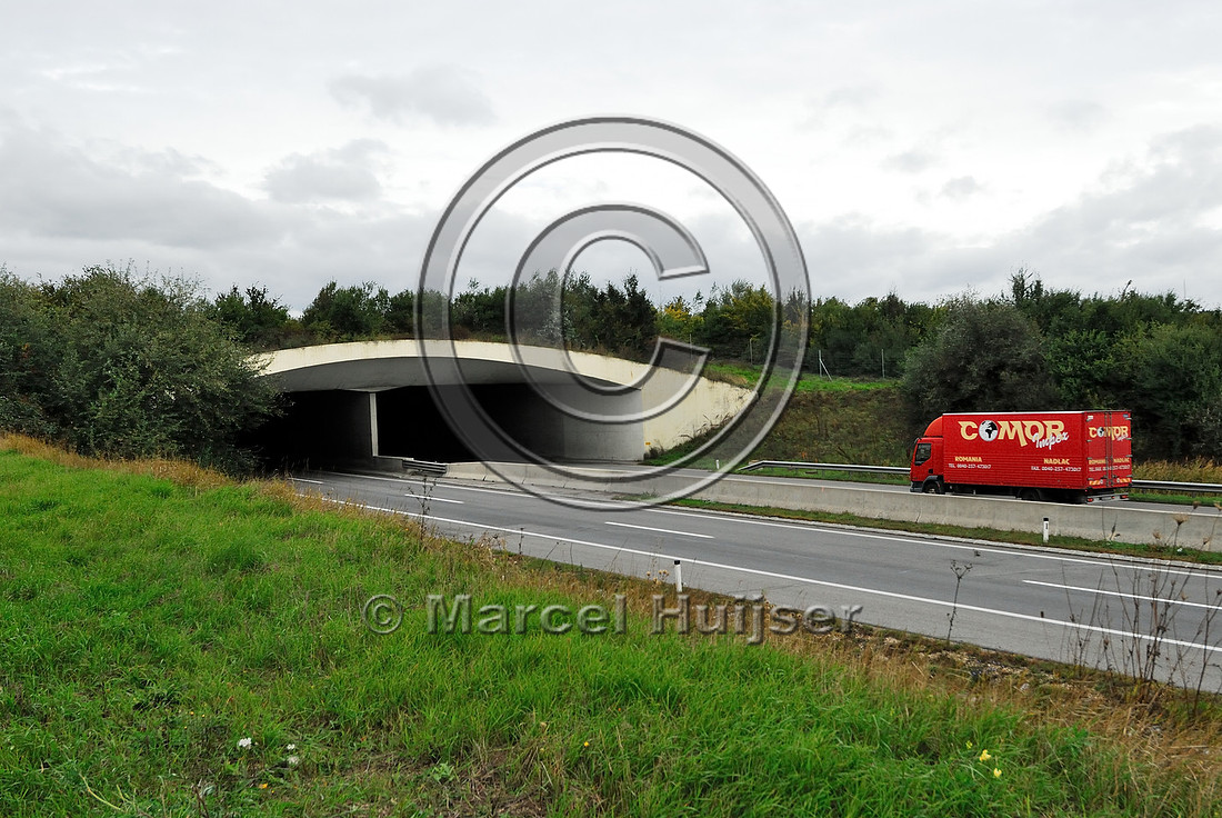 multifunctional overpass (wildlife, bicyclists, pedestrians; about 100 m wide), across A4 motorway, Parndorf, Austria