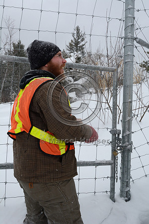 Locked gate to access wildlife overpass (about 30 m wide), Hwy 69, Ontario, Canada