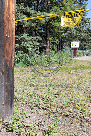 Electrified barrier to keep bears out of a campground, Lake Loui
