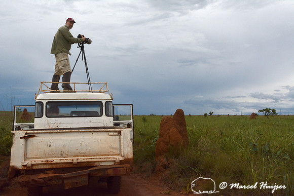 Marcel Huijser photographs the landscape standing on the roof of the vehicle, Parque Nacional das Emas, Goiás, Brazil