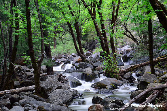 Stream at Bridalveil creek below Bridalveil Fall, Yosemite National Park, California, USA