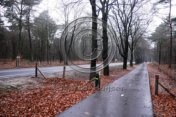 Animal detection system LED SICK WS WE 45 at a gap in a wildlife fence near Harderwijk, The Netherland