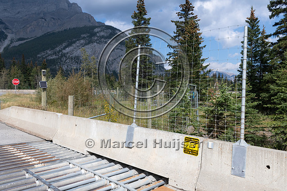 Electrified barrier to keep bears off the highway, exit Compound