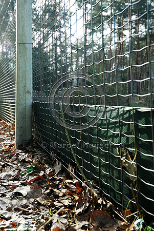 Wildlife fence at ecoduct Woeste Hoeve A50 near Apeldoorn, The Netherlands