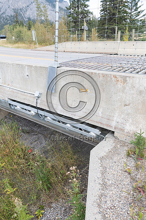 Electrified barrier to keep bears off the highway, exit Compound