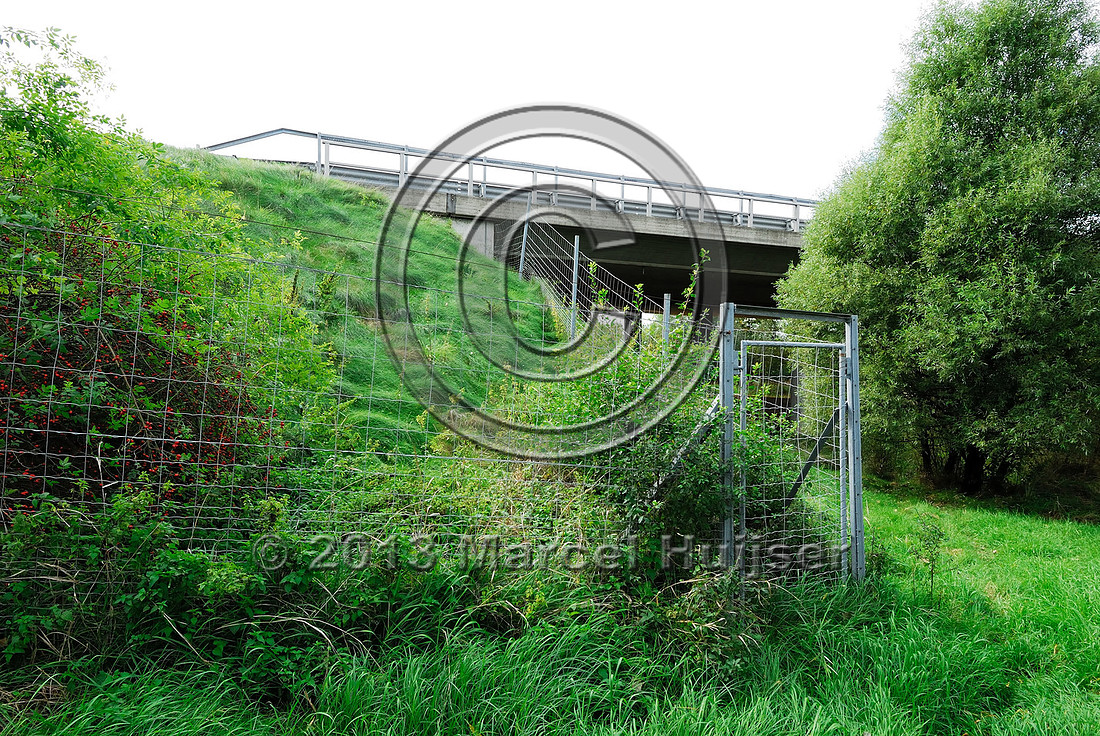 Wildlife fence and gate at multifunctional underpass, under A4 motorway, Parndorf, Austria