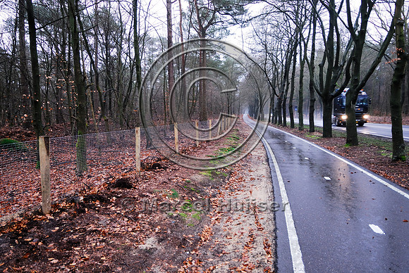 Wildlife fence, N302, Leuvenumseweg, Sonnevanck, east of Harderwijk, The Netherlands
