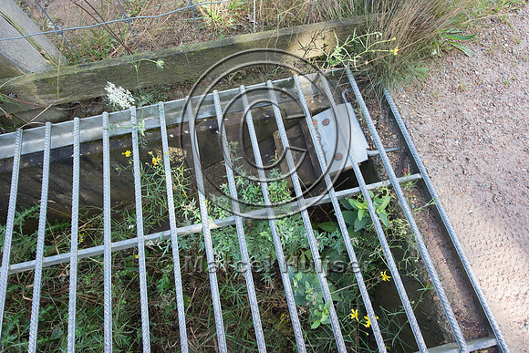 Cattle guard and escape ramp from pit for small animals at entra