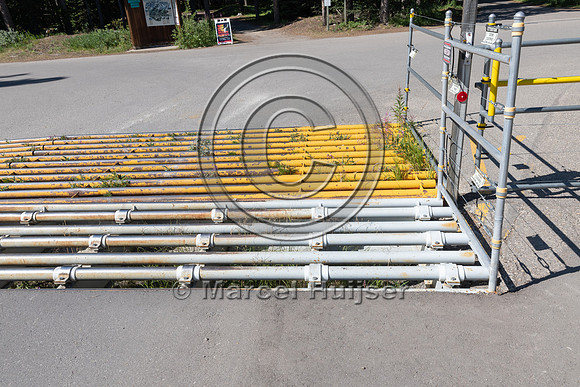 Electrified barrier to keep bears out of a campground, Lake Loui