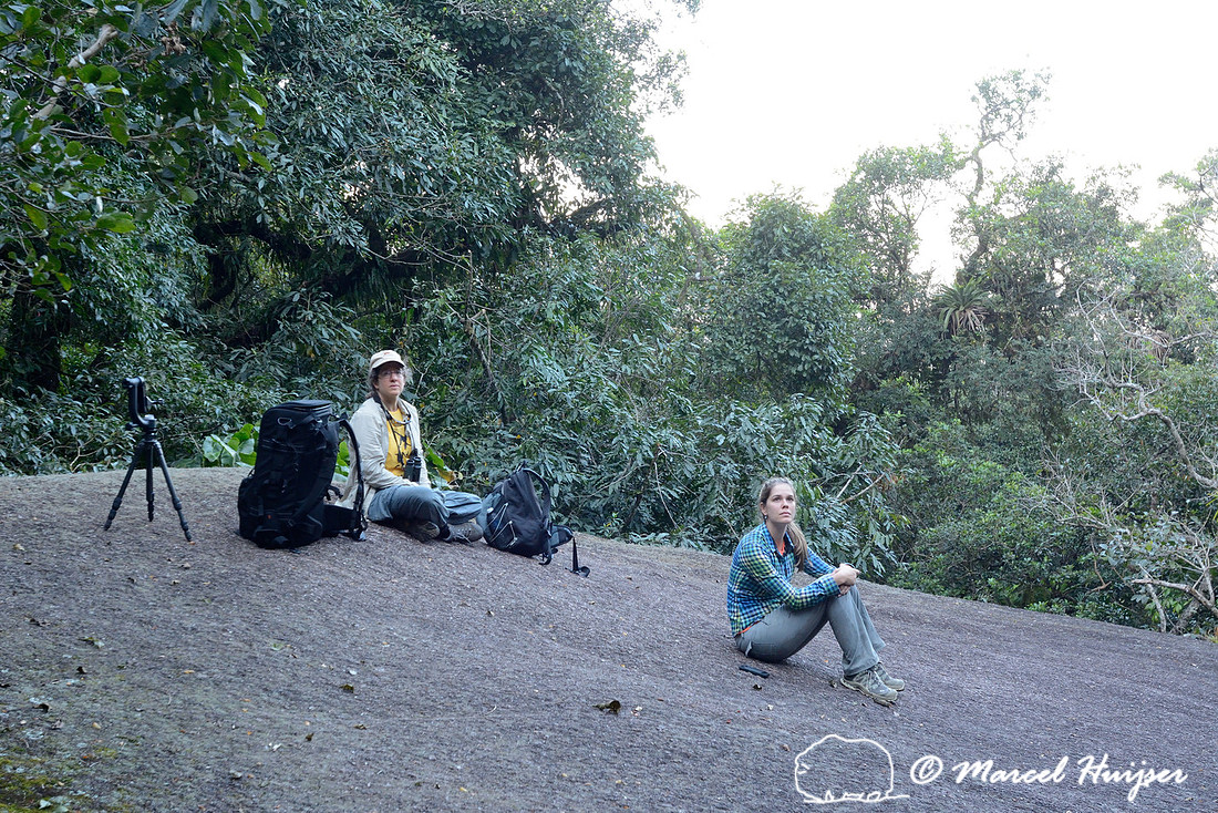 Waiting on a very large boulder in the Atlantic forest for wooly spider monkeys to show up, near São Francisco Xavier, São Paulo, Brazil