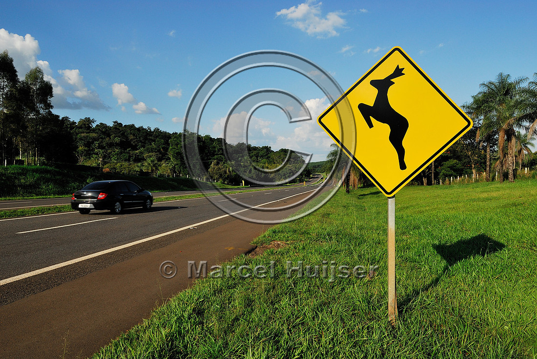 Deer warning sign along SP-225 motorway, Brotas, Brazil