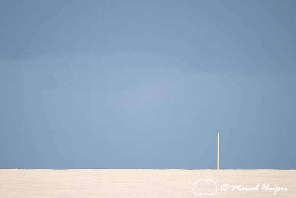 Post in snowy wheatfield, Alberta, Canada