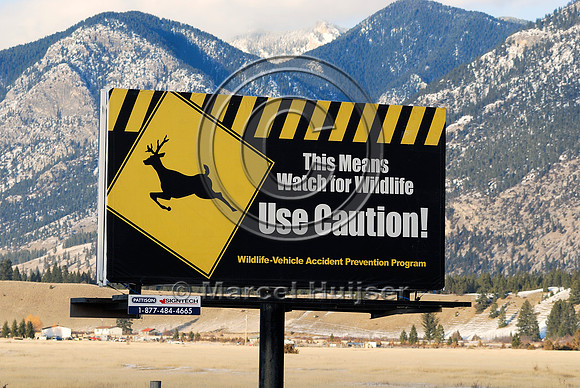 Wildlife warning sign, British Columbia, Canada