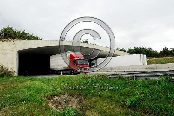 Multifunctional overpass (wildlife, bicyclists, pedestrians; about 100 m wide), across A4 motorway, Parndorf, Austria