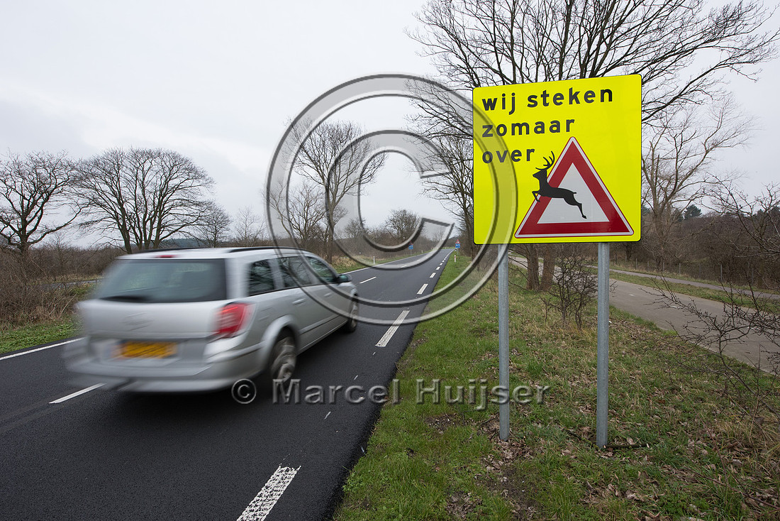 Wildlife warning sign, we cross unexpectedly, Bloemendaal aan Ze